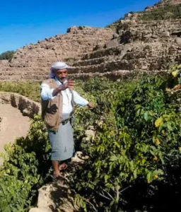 Yemen Mocca Harazi is grown in the unique climate and soil of Yemen’s northwestern Sa’adah Governorate.